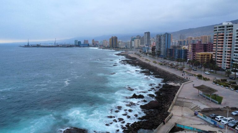 whatsapp image 2025 09 27 at 22.27.03